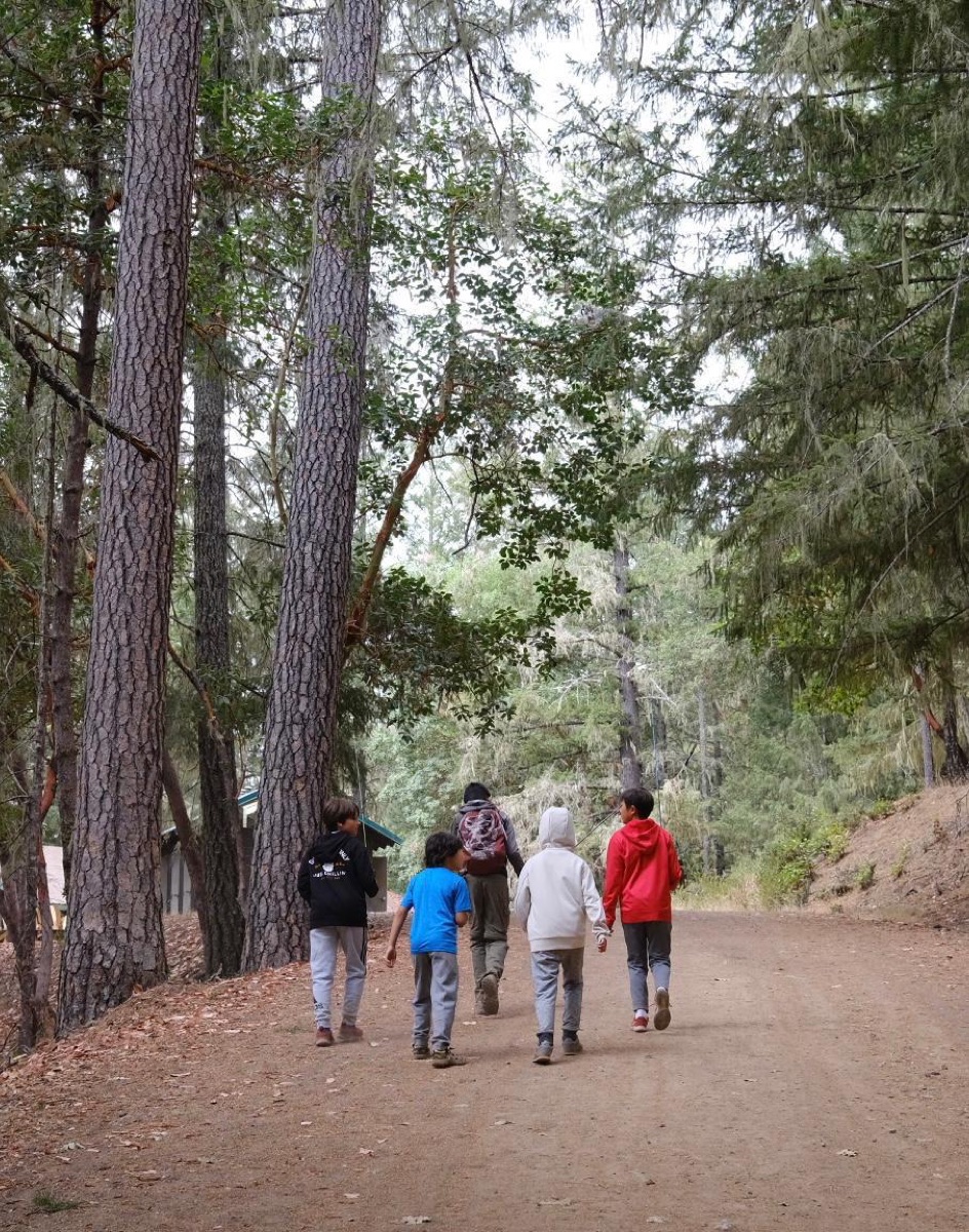 Scouts hiking through a forest trail